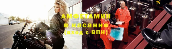 ГАЛЛЮЦИНОГЕННЫЕ ГРИБЫ Алзамай