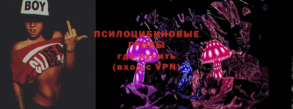 ГАЛЛЮЦИНОГЕННЫЕ ГРИБЫ Алзамай